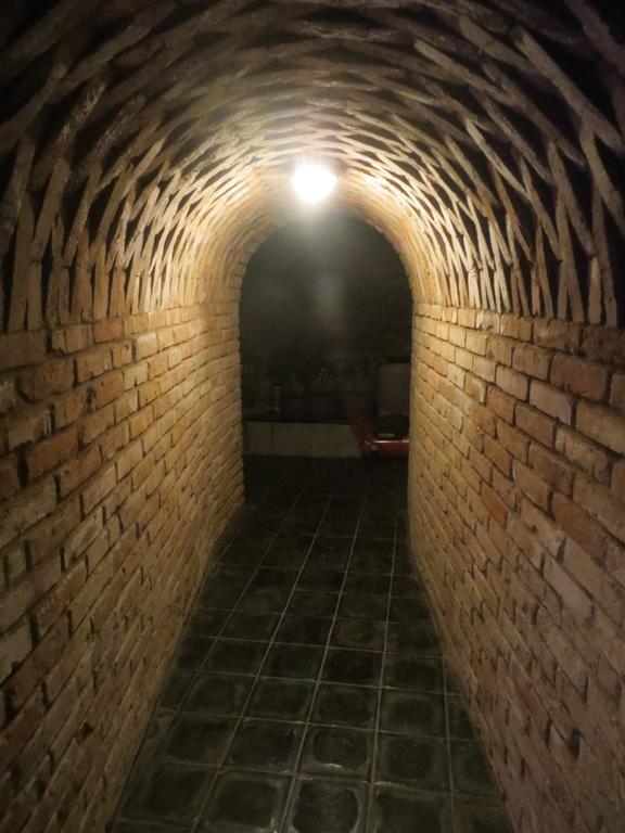 ホテル U Vinarstvi Mutěnice エクステリア 写真