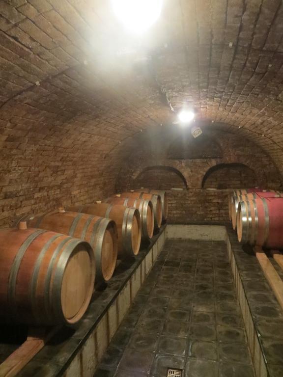 ホテル U Vinarstvi Mutěnice エクステリア 写真