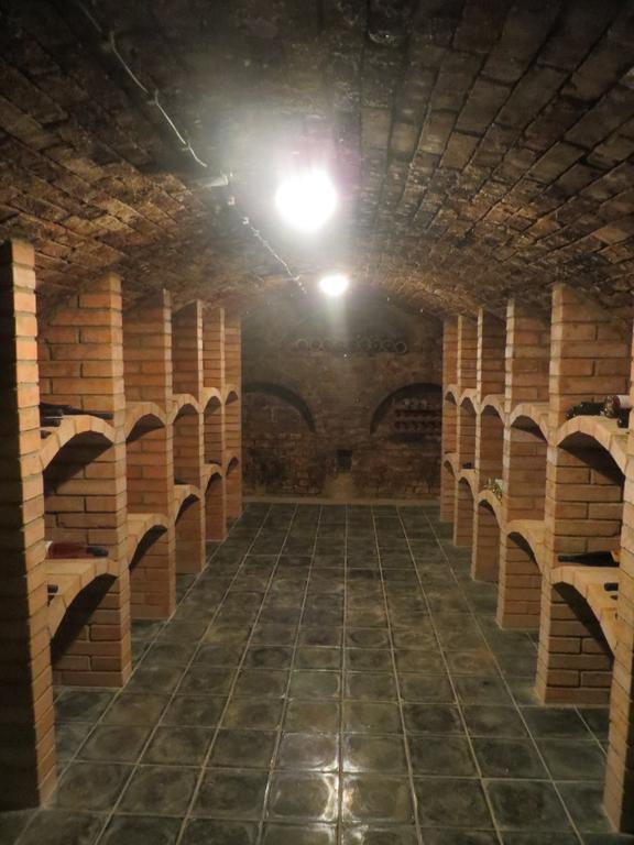ホテル U Vinarstvi Mutěnice エクステリア 写真